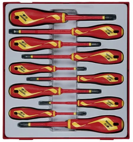 Teng Tools skruvmejselset 1000V TTDV910N med 10 delar